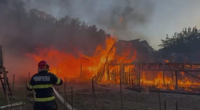 Puternic incendiu într-o localitate din judeţul Bistriţa-Năsăud, unde ard mai multe anexe – 50 de pui de găină şi 30 de miei nu au putut fi salvaţi – VIDEO