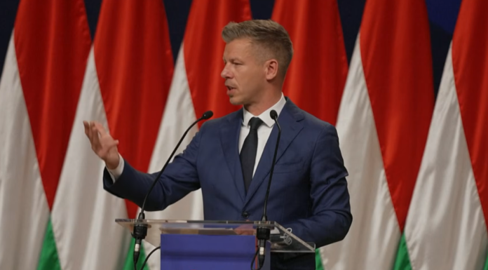 Noul prim-ministru al Ungariei, Peter Magyar, intenționează să-și reducă salariul la jumătate. Ce venit are acum în comparație cu premierul României