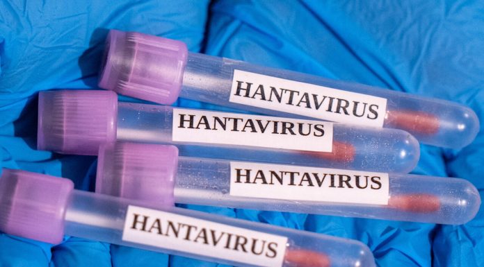 OMS a confirmat 6 cazuri de hantavirus la bordul vasului de croazieră care naviga în Oceanul Atlantic