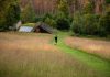 România va avea, în premieră, un plan de restaurare a naturii, pentru însănătoşirea ecosistemelor de economie, agricultură, apă şi climă. Scopul final, sănătatea oamenilor/ Fonduri europene de 17 milioane de lei