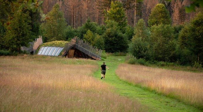 România va avea, în premieră, un plan de restaurare a naturii, pentru însănătoşirea ecosistemelor de economie, agricultură, apă şi climă. Scopul final, sănătatea oamenilor/ Fonduri europene de 17 milioane de lei