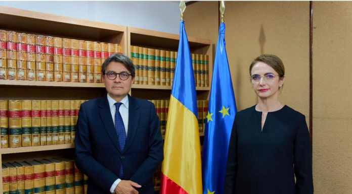 Lia Savonea, avertisment în fața șefului CEDO: „Nu mai vorbim de reforme, ci de risc sistemic”