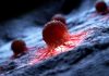 În SUA, a fost creat un vaccin personalizat împotriva cancerului cerebral, anunță Universitatea Washington
