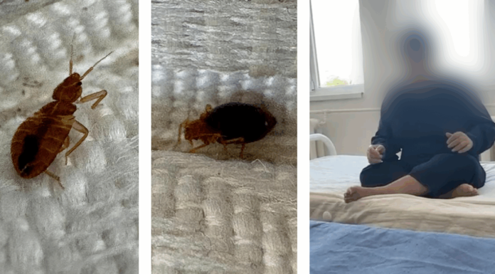 Situație critică la un centru de îngrijiri din Vrancea, infestat cu ploșnițe. Imagini halucinante cu insectele care se „plimbă” în voie pe saltele
