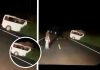 O furgonetă a lovit un elefant într-un parc național din Uganda. Trei oameni au murit, alți patru au fost răniți