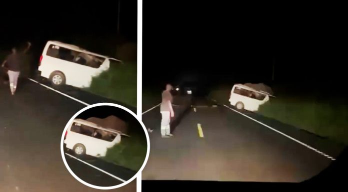 O furgonetă a lovit un elefant într-un parc național din Uganda. Trei oameni au murit, alți patru au fost răniți