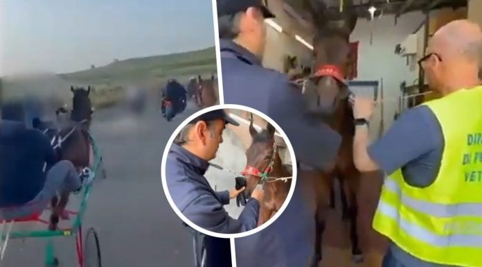 Cursă ilegală cu trăsuri trase de cai și arme de tip Kalashnikov în Sicilia. Poliția a intervenit după ce un videoclip a ajuns viral