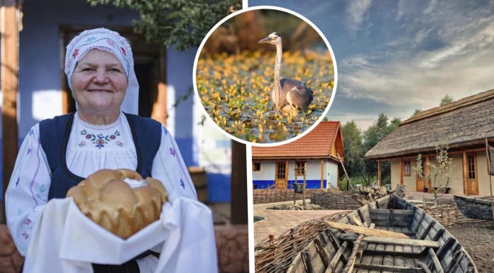 „Delta Dunării” din Republica Moldova. Localitatea mirifică din Rezervația Biosferei UNESCO Lunca Prutului este inclusă în topul mondial al destinațiilor de vacanță