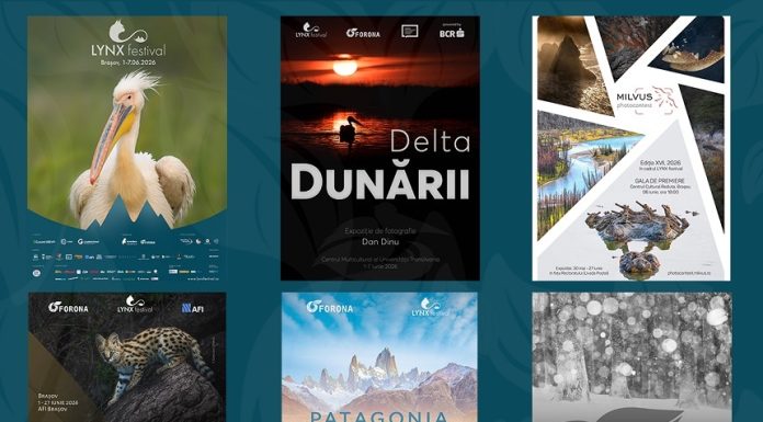 Spectacolul naturii se dezvăluie la Braşov în expoziţiile de fotografie de la LYNX festival
