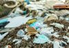 Consiliul Concurenței a dispus investigarea administratorului depozitului ecologic de deșeuri de la Vidra. Firma ar fi impus clauze abuzive