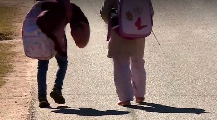Când intră pe card alocațiile și indemnizațiile pentru copii în luna mai. Veste pentru părinți