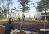 Un al doilea centru de tratament pentru Ebola a fost incendiat în estul Republicii Democrate Congo, iar 18 pacienţi suspectaţi de infectare cu virusul au fugit