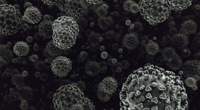 Hantavirus: misterioasa boală din timpul Războiului din Coreea care a ucis 250 de soldați
