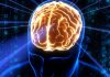 Un nou instrument cu inteligenţă artificială ar putea simplifica diagnosticul bolilor genetice rare