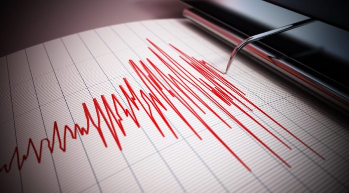 Cutremur în România, vineri seară. Ce magnitudine a avut și unde s-a resimțit