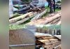 20 de metri cubi de lemn de la arbori care ar fi fost tăiaţi ilegal, descoperiți la percheziții. Printre suspecți, un pădurar