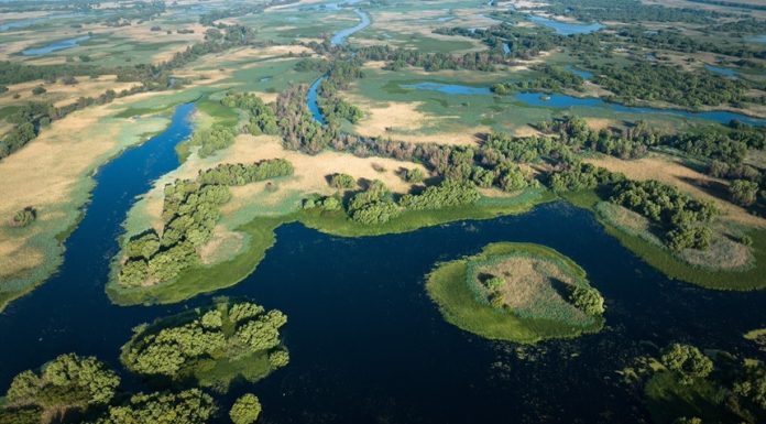 „Delta Sălbatică”, primul documentar românesc de amploare dedicat Deltei Dunării, prezentat în premieră în cadrul LYNX Festival/ FOTO