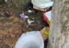 Ce mai aruncă românii pe marginea drumului: vase de toaletă, saci cu haine și gunoi menajer