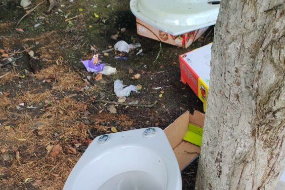Ce mai aruncă românii pe marginea drumului: vase de toaletă, saci cu haine și gunoi menajer
