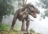 De ce avea Tyrannosaurus rex brațe atât de mici?
