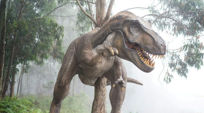 De ce avea Tyrannosaurus rex brațe atât de mici?