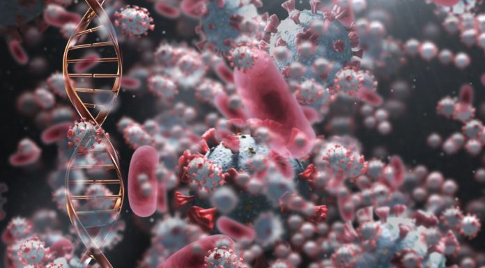 Simptomele virusului care a speriat America. Ce trebuie să știi despre Hantavirus
