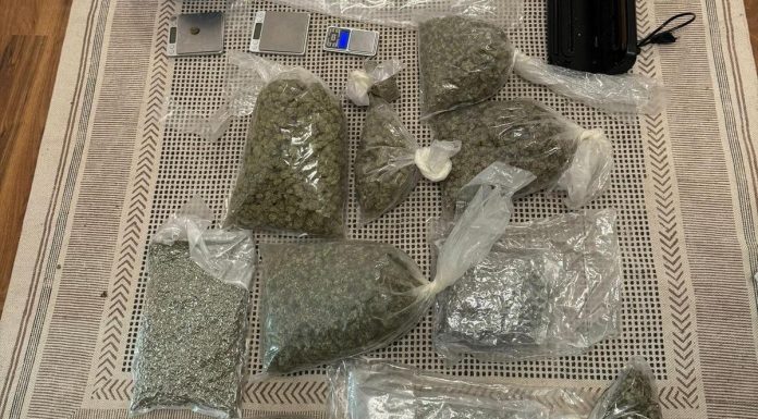 Tânăr româno-sirian, reţinut pentru trafic de droguri/ El a fost prins pe autostrada A2 având în maşină peste 11 kilograme de canabis pe care voia să le vândă pe litoral/ La percheziţii, poliţiştii i-au găsit alte cinci kilograme de canabis
