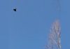 Noi atacuri cu drone rusești în Ucraina, aproape de granița României. A fost emis mesaj RO-Alert în Tulcea