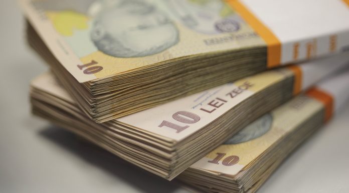 ANPIS: În perioada 2020 – 2025, numărul celor care au revenit în România şi au solicitat deschiderea drepturilor la beneficii familiale a fost mai mare decât al celor care au plecat / Germania, principala destinaţie pentru lucrătorii migranţi români