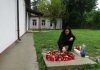 Un elev a murit în curtea școlii, în Bacău. I s-a făcut rău și s-a prăbușit, în pauză