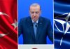 Ambițiile militare ale „sultanului” Erdoğan. „Oficialii turci susțin că Europa nu poate construi o arhitectură de securitate post-americană credibilă”