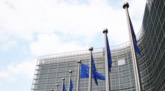 Acordul comercial provizoriu UE-Mercosur intră în vigoare