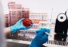 Încălzirea globală accelerează rezistenţa la antibiotice, indică un studiu interaţional