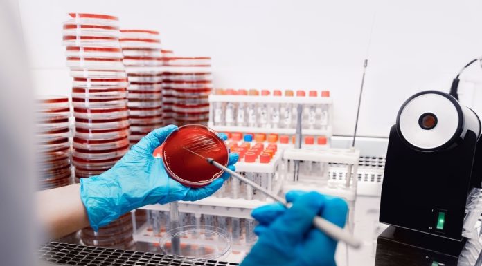 Încălzirea globală accelerează rezistenţa la antibiotice, indică un studiu interaţional