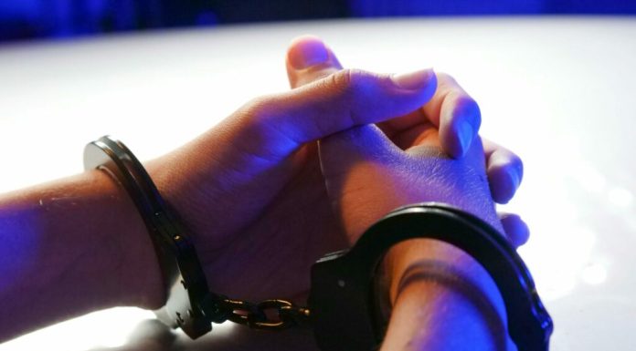 Rusia: O femeie, condamnată la muncă forțată pentru o carte cu personaje LGBT