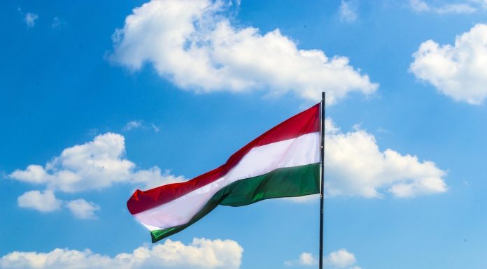 Un magnat ungur își oferă firmele statului