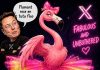 „Flamingo roz în tutu fluorescent”: O asociaţie depune plângere împotriva lui Elon Musk după insultele aduse magistraţilor francezi