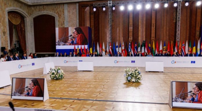 Oana Țoiu a coprezidat masa rotundă europeană pentru combaterea ingerințelor străine în alegeri