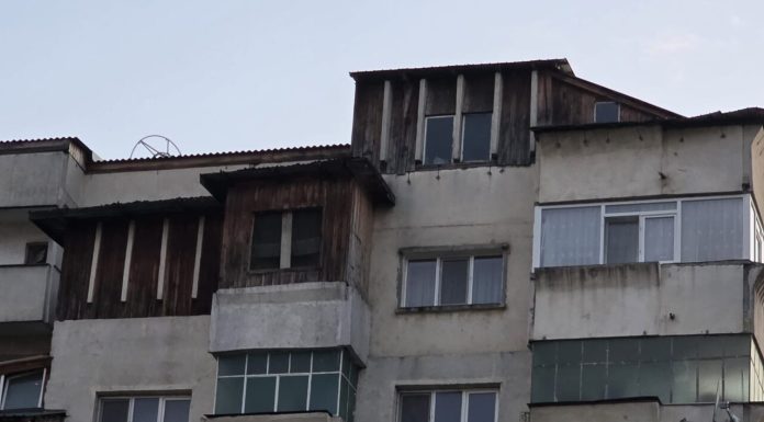 „Cotețele” de pe blocurile din Iași, pericol public. Cum poate fi rezolvată situația șarpantelor