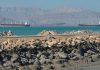 Iranul ridică miza: Strâmtoarea Ormuz, „la fel de valoroasă ca o bombă atomică”