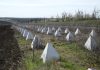Ucraina îşi întăreşte apărarea la frontiera cu Transnistria: „Trebuie să fim pregătiţi pentru orice scenariu”