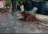 Ploile au lovit în rafale jumătate de țară și au provocat inundații în mai multe județe. În Iași, străzile au fost inundate