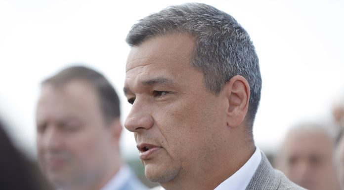Grindeanu spune că ştie ce liberal a sunat-o pe Lia Olguţa Vasilescu: Preşedintele PNL Prahova, Mircea Roşca