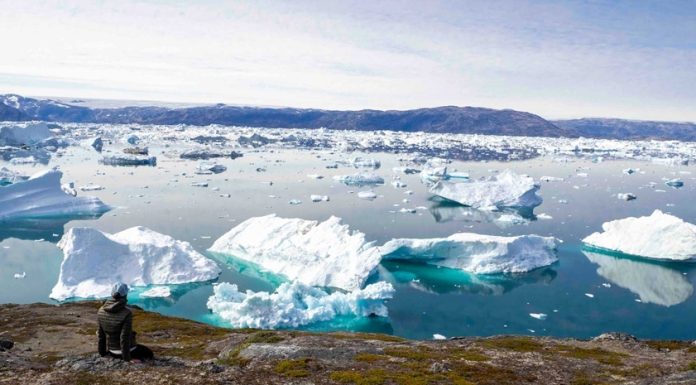 Canada îşi întăreşte alianţele militare arctice cu ţările nordice după ameninţările lui Trump privind Groenlanda şi Canada