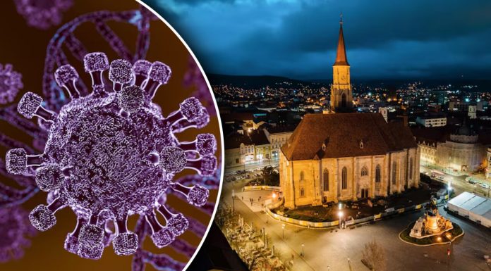 Încă un caz de hantavirus în România, la Arad. Este vorba de un pacient internat la Spitalul de Psihiatrie din Ştei, Bihor