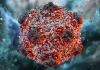 Care este perioada de incubație a hantavirusului. OMS: „Acesta nu este coronavirusul. Este un virus foarte diferit”