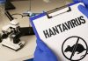 Spania anunță un nou caz de hantavirus la un pasager de pe o navă de croazieră. Numărul total al cazurilor a ajuns la 11