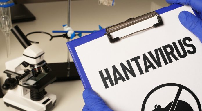 Spania anunță un nou caz de hantavirus la un pasager de pe o navă de croazieră. Numărul total al cazurilor a ajuns la 11