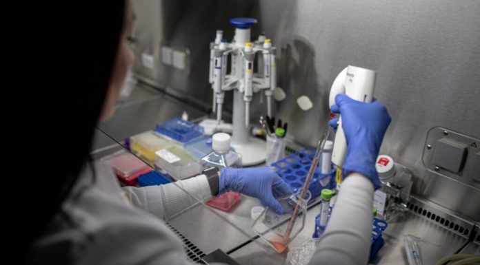 Un nou medicament împotriva cancerului pancreatic: supraviețuirea pacienților aproape s-a dublat
