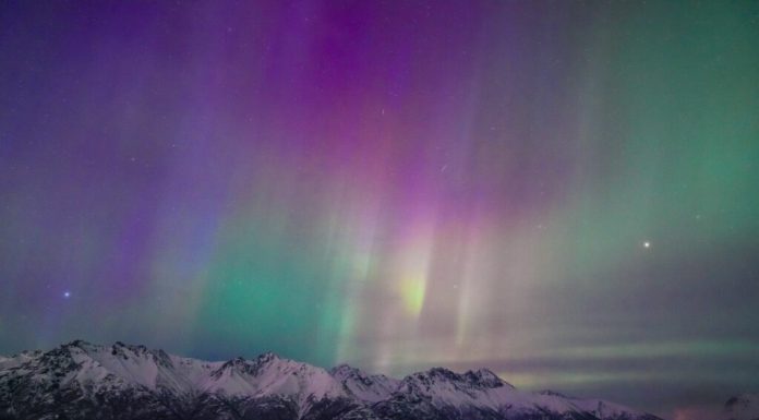 FT: Companiile petroliere reiau explorările în Alaska, „cea mai fierbinte zonă din lume”